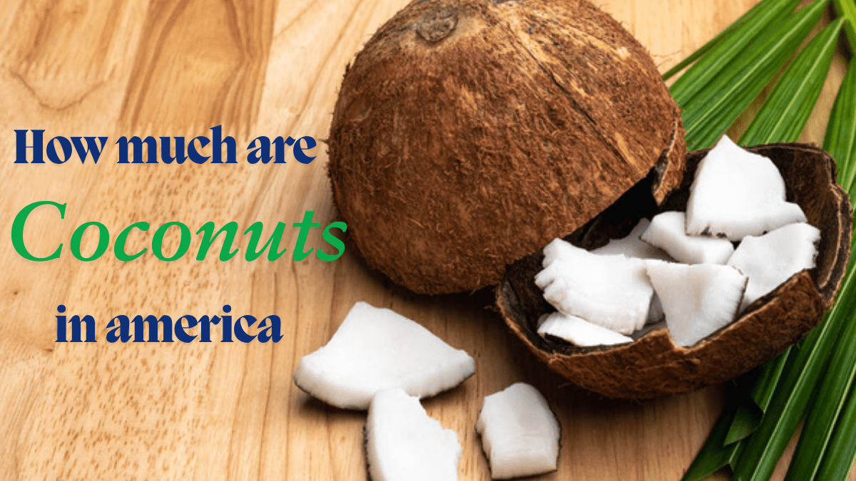 The Real Price of Coconuts: How Much Are Coconuts in America?